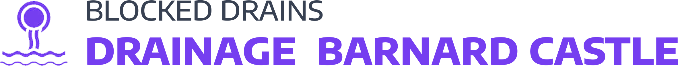 website logo